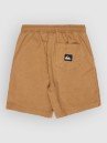 Quiksilver Taxer Kids Shorts