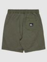 Quiksilver Taxer Kids Shorts