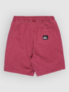 Quiksilver Taxer Kids Shorts