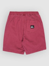 Quiksilver Taxer Kids Shortsit