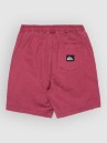 Quiksilver Taxer Kids Shorts
