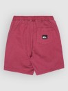 Quiksilver Taxer Kids Shortsit