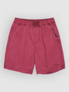 Quiksilver Taxer Kids Shortsit