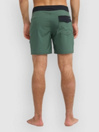 Quiksilver Surfsilk Kaimana 16 Boardshorts