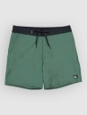 Quiksilver Surfsilk Kaimana 16 Boardshorts