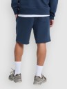 Quiksilver Salt Water Fleece Shorts