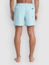 Quiksilver Everyday Deluxe Volley 15 Boardshorts