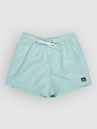 Quiksilver Everyday Deluxe Volley 15 Boardshorts