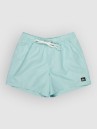 Quiksilver Everyday Deluxe Volley 15 Boardshorts