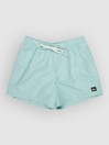 Quiksilver Everyday Deluxe Volley 15 Surffishortsit