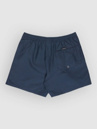 Quiksilver Everyday Deluxe Volley 15 Boardshorts