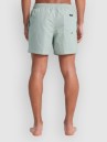 Quiksilver Everyday Deluxe Volley 15 Boardshorts