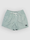 Quiksilver Everyday Deluxe Volley 15 Boardshorts