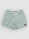 Quiksilver Everyday Deluxe Volley 15 Boardshorts
