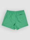 Quiksilver Everyday Deluxe Volley 15 Boardshorts