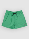 Quiksilver Everyday Deluxe Volley 15 Boardshorts