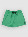 Quiksilver Everyday Deluxe Volley 15 Boardshorts