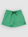 Quiksilver Everyday Deluxe Volley 15 Boardshorts