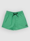 Quiksilver Everyday Deluxe Volley 15 Boardshorts