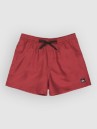 Quiksilver Everyday Deluxe Volley 15 Boardshorts