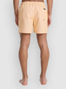 Quiksilver Everyday Deluxe Volley 15 Bañador