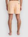 Quiksilver Everyday Deluxe Volley 15 Boardshorts