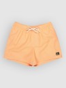 Quiksilver Everyday Deluxe Volley 15 Bañador