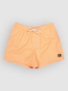 Quiksilver Everyday Deluxe Volley 15 Boardshorts
