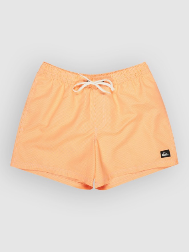 Quiksilver Everyday Deluxe Volley 15 Boardshorts