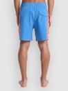 Quiksilver Original Arch Volley 17 Shorts