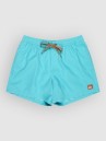 Quiksilver Everyday Solid Volley 15 Boardshorts