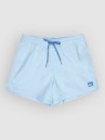 Quiksilver Everyday Solid Volley 15 Boardshort