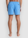 Quiksilver Everyday Solid Volley 15 Boardshorts