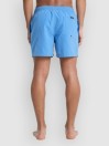 Quiksilver Everyday Solid Volley 15 Boardshorts