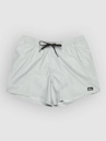 Quiksilver Everyday Solid Volley 15 Boardshorts