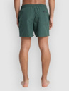 Quiksilver Everyday Solid Volley 15 Boardshorts