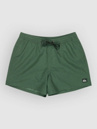 Quiksilver Everyday Solid Volley 15 Boardshorts