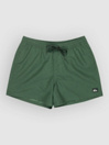 Quiksilver Everyday Solid Volley 15 Boardshort