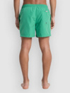 Quiksilver Everyday Solid Volley 15 Boardshorts