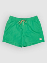 Quiksilver Everyday Solid Volley 15 Boardshorts