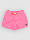Quiksilver Everyday Solid Volley 15 Boardshorts