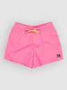 Quiksilver Everyday Solid Volley 15 Boardshorts