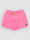 Quiksilver Everyday Solid Volley 15 Boardshort