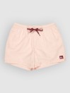 Quiksilver Everyday Solid Volley 15 Boardshorts