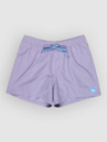Quiksilver Everyday Solid Volley 15 Boardshorts