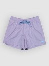 Quiksilver Everyday Solid Volley 15 Boardshorts