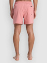 Quiksilver Everyday Flex Volley 15 Kratasy