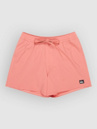 Quiksilver Everyday Flex Volley 15 Kratasy