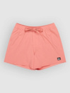 Quiksilver Everyday Flex Volley 15 Shorts