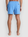 Quiksilver Everyday Flex Volley 15 Shorts